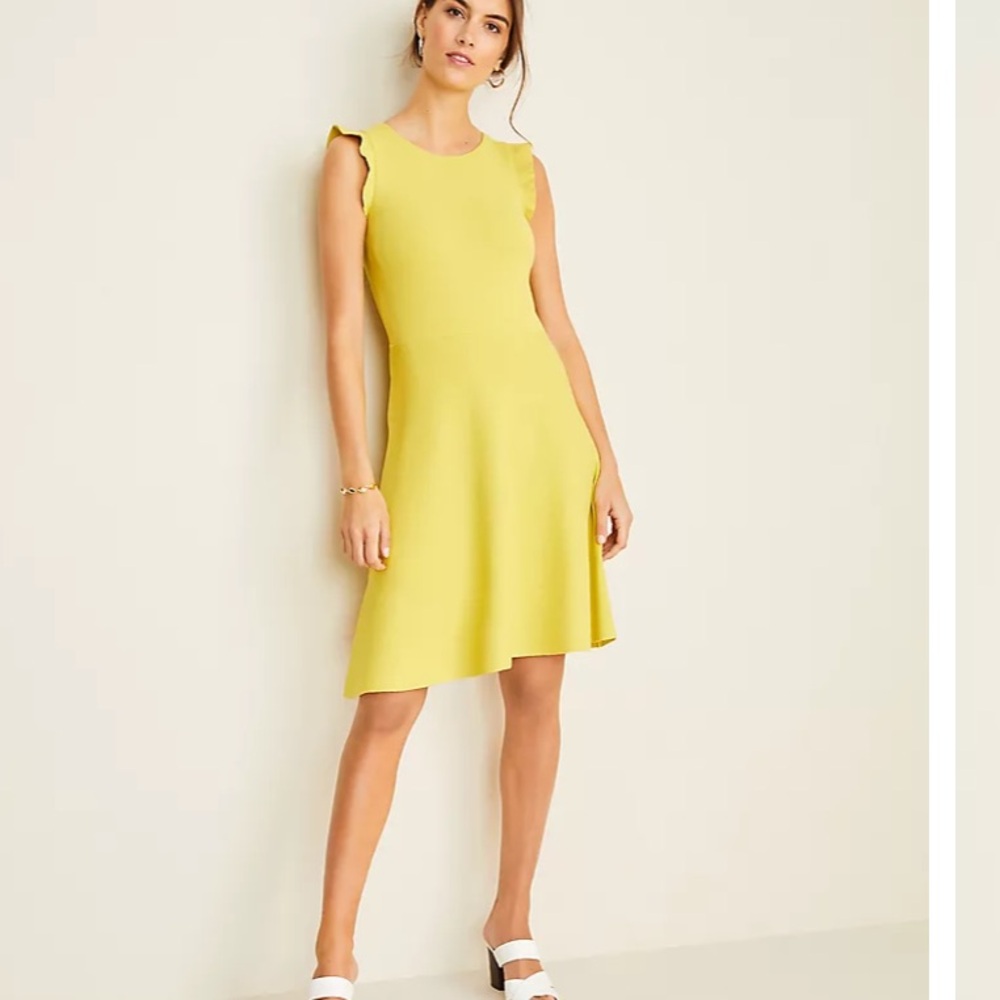Ann Taylor Petite‎ Ruffle Sleeve Flare Sweater Dress